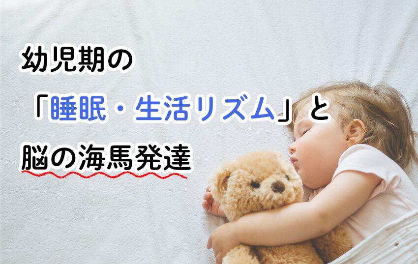 幼児期の 「睡眠・生活リズム」と 脳の海馬発達